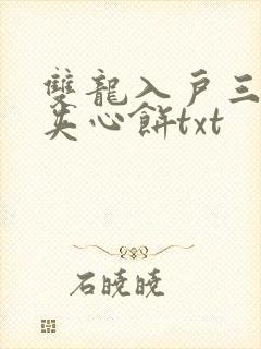 双龙入户三人行夹心饼txt封面