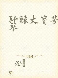 轩辕大宝芳菲雅琴