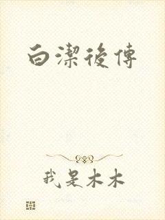 白洁后传封面