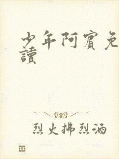 少年阿宾免费阅读封面