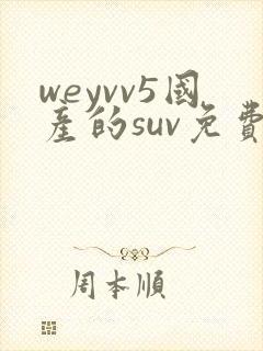 weyvv5国产的suv免费