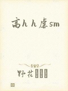 高h h虐sm