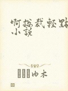 啊总裁轻点奶头小说