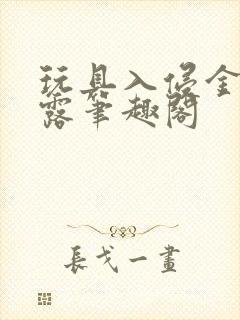 玩具入侵金银花露笔趣阁封面