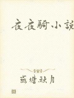 夜夜骑小说