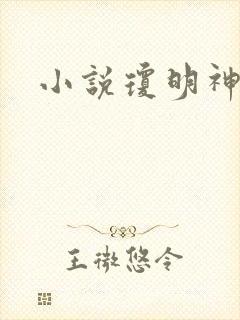 小说琼明神女录