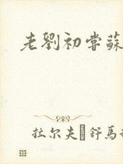 老刘初尝苏荷媳