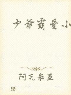 少爷霸爱小丫头