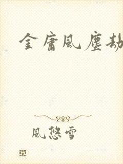 金庸风尘劫封面