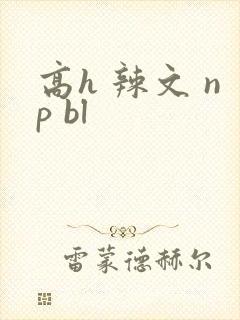高h 辣文 np bl