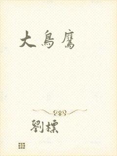 大鸟鹰封面
