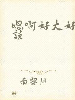 嗯啊好大好爽小说封面