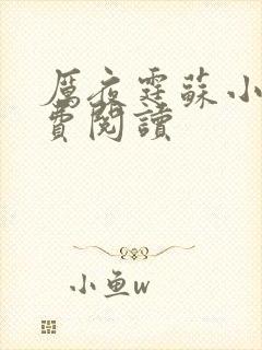 厉夜霆苏小汐免费阅读