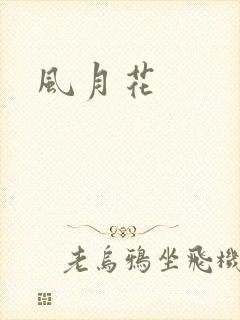 风月花封面