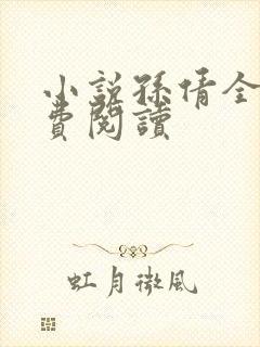 小说孙倩全文免费阅读封面