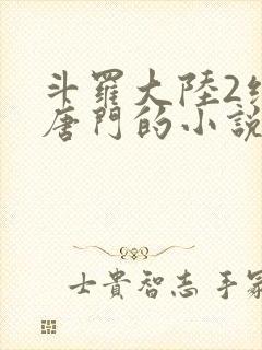 斗罗大陆2绝世唐门的小说封面