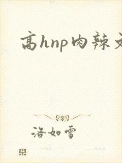 高hnp肉辣文