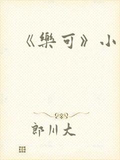 《乐可》小说封面