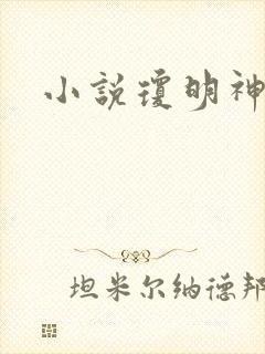 小说琼明神女录