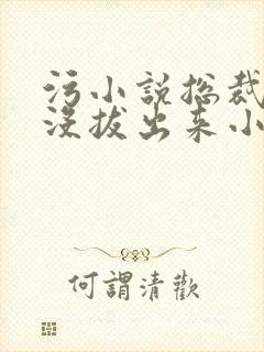 污小说总裁整夜没拔出来小说在线阅读