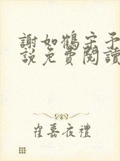 谢如鹤宋予朵小说免费阅读最新章节封面