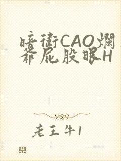 暗卫CAO烂王爷屁股眼H