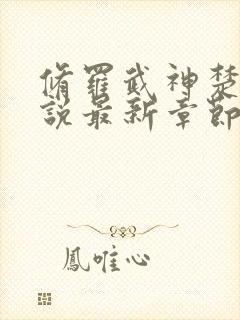 修罗武神楚枫小说最新章节阅