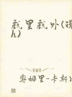 戏里戏外(现场h)