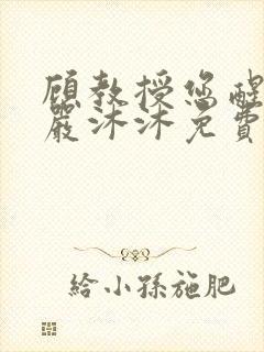 顾教授您醒了吗严沐沐免费阅读全文小说