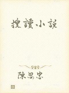 搜读小说封面