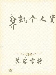 许凯个人资料简介