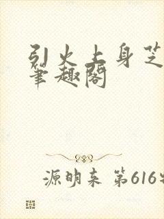 引火上身芝麻糖笔趣阁封面