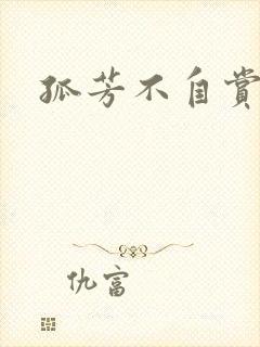 孤芳不自赏小说