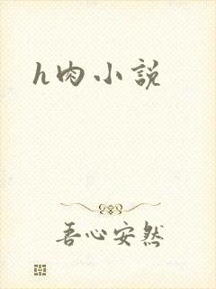 h肉小说