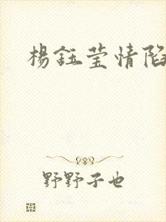 杨钰莹情陷红楼封面