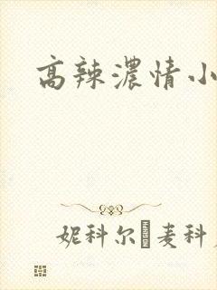 高辣浓情小说封面