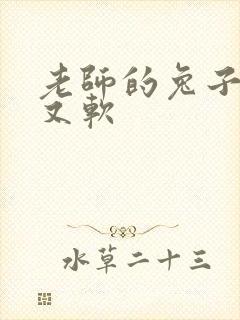 老师的兔子又大又软