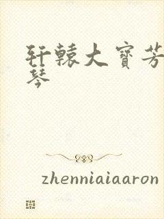 轩辕大宝芳菲雅琴