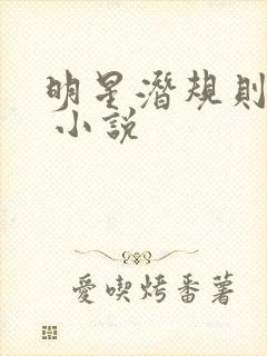 明星潜规则之皇 小说