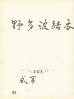 野多波结衣