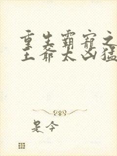 重生霸宠之摄政王爷太凶猛