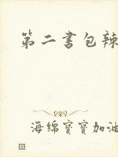 第二书包辣文