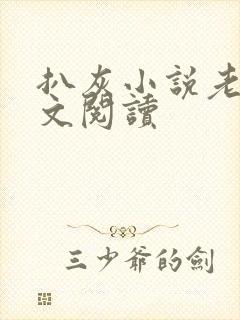 扒灰小说老马全文阅读