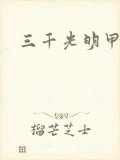 三千光明甲封面