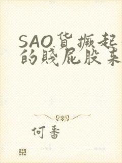 SAO货撅起你的贱屁股来