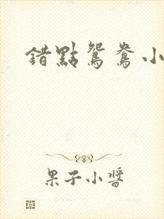 错点鸳鸯小说