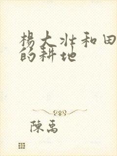 杨大壮和田桂花的耕地