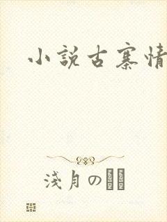小说古寨情缘封面