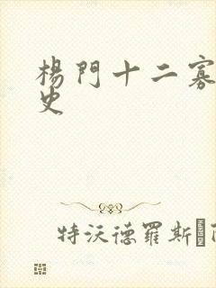 杨门十二寡妇艳史封面
