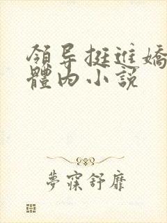 领导挺进娇妻的体内小说